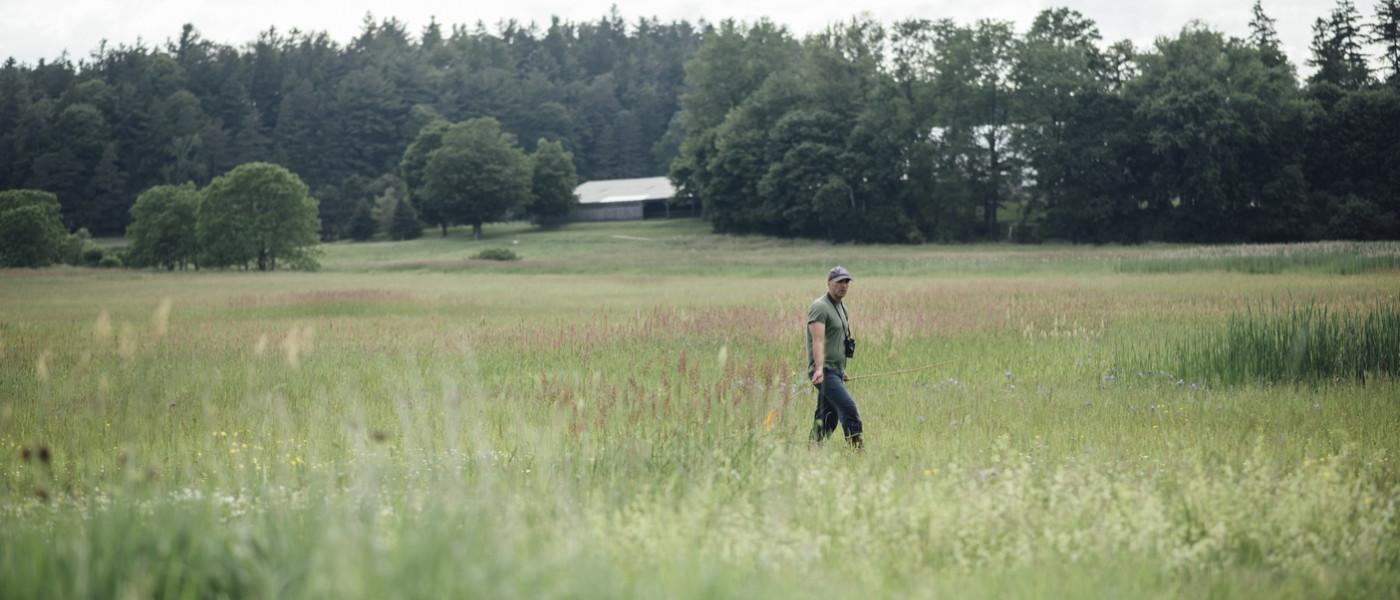 U N E Professor Noah Perlut walks through a grassy field in Vermont