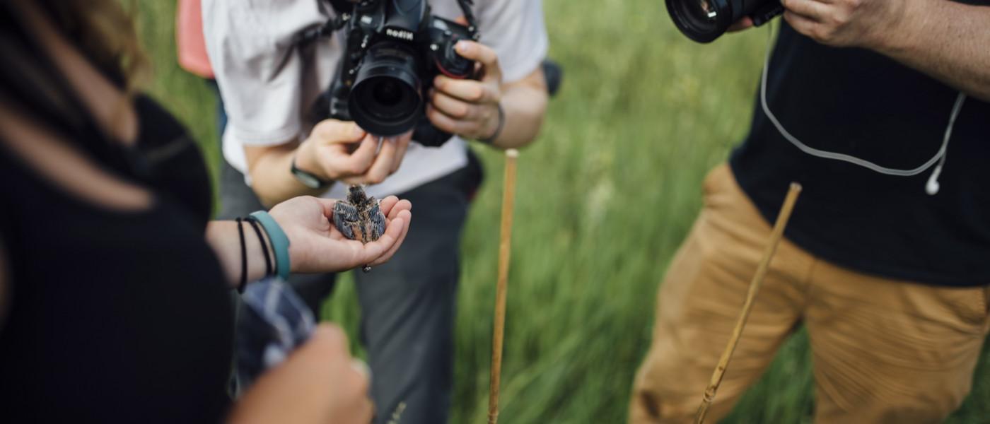Photographers gather around a researcher holding a bobolink